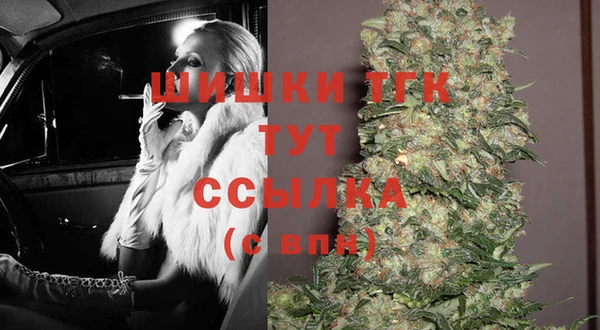 стаф Ладушкин