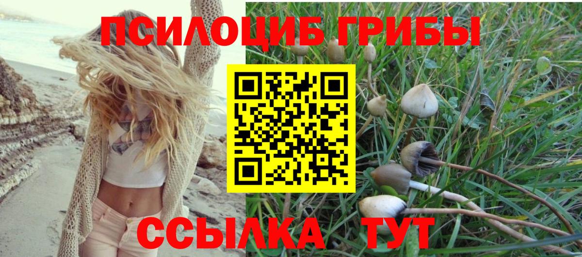 Нижнекамск  Псилоцибиновые грибы Magic Shrooms  Вход с VPN 